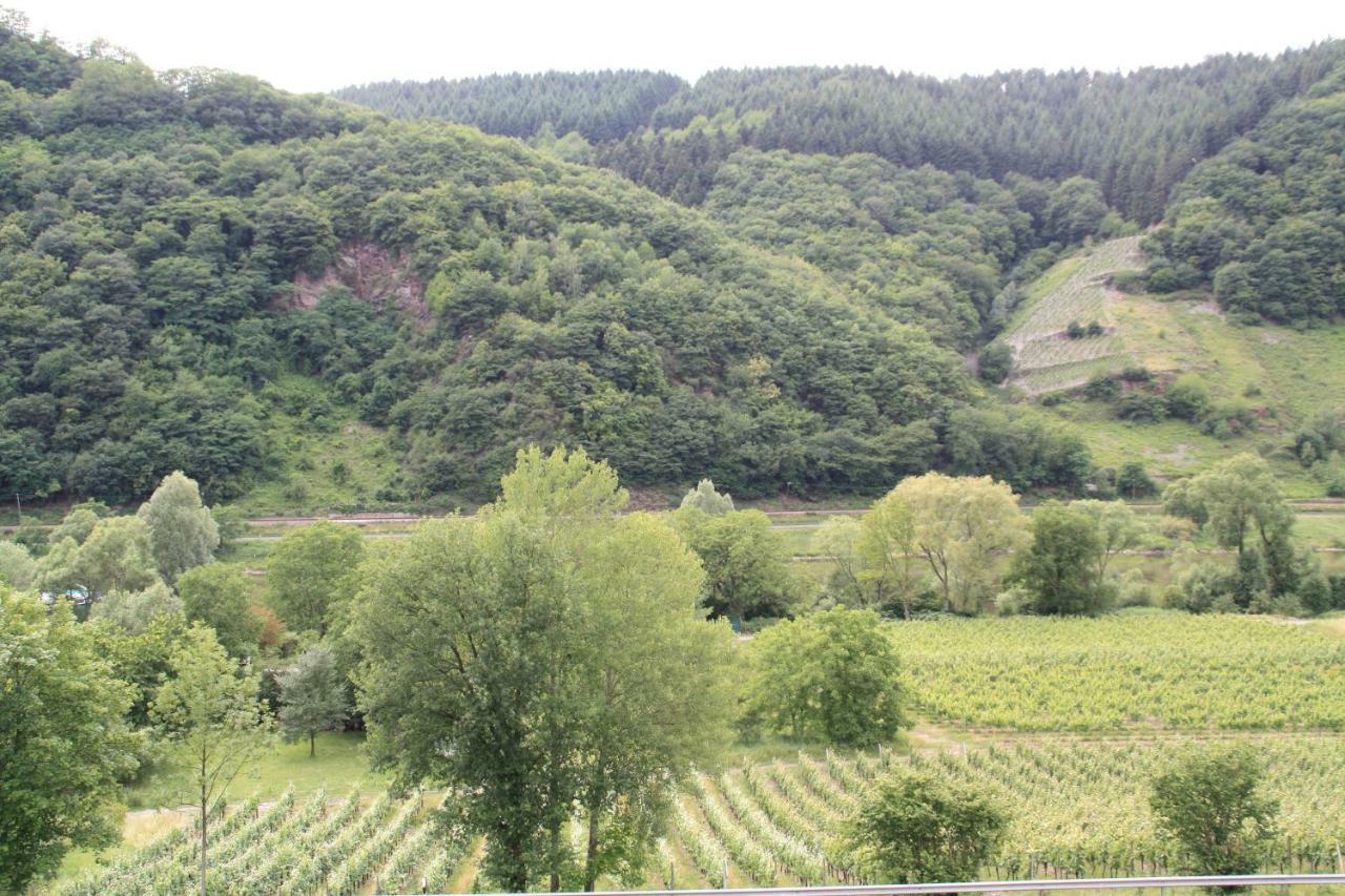 Weingut Sauer-Kettermann Villa เอนเคิร์ช ภายนอก รูปภาพ