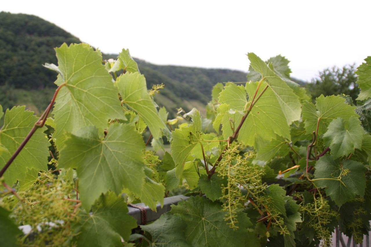Weingut Sauer-Kettermann Villa เอนเคิร์ช ภายนอก รูปภาพ