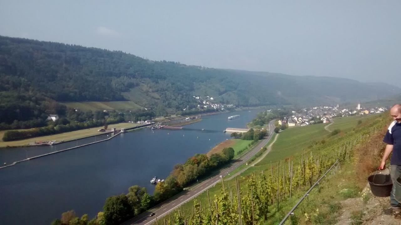 Weingut Sauer-Kettermann Villa เอนเคิร์ช ภายนอก รูปภาพ
