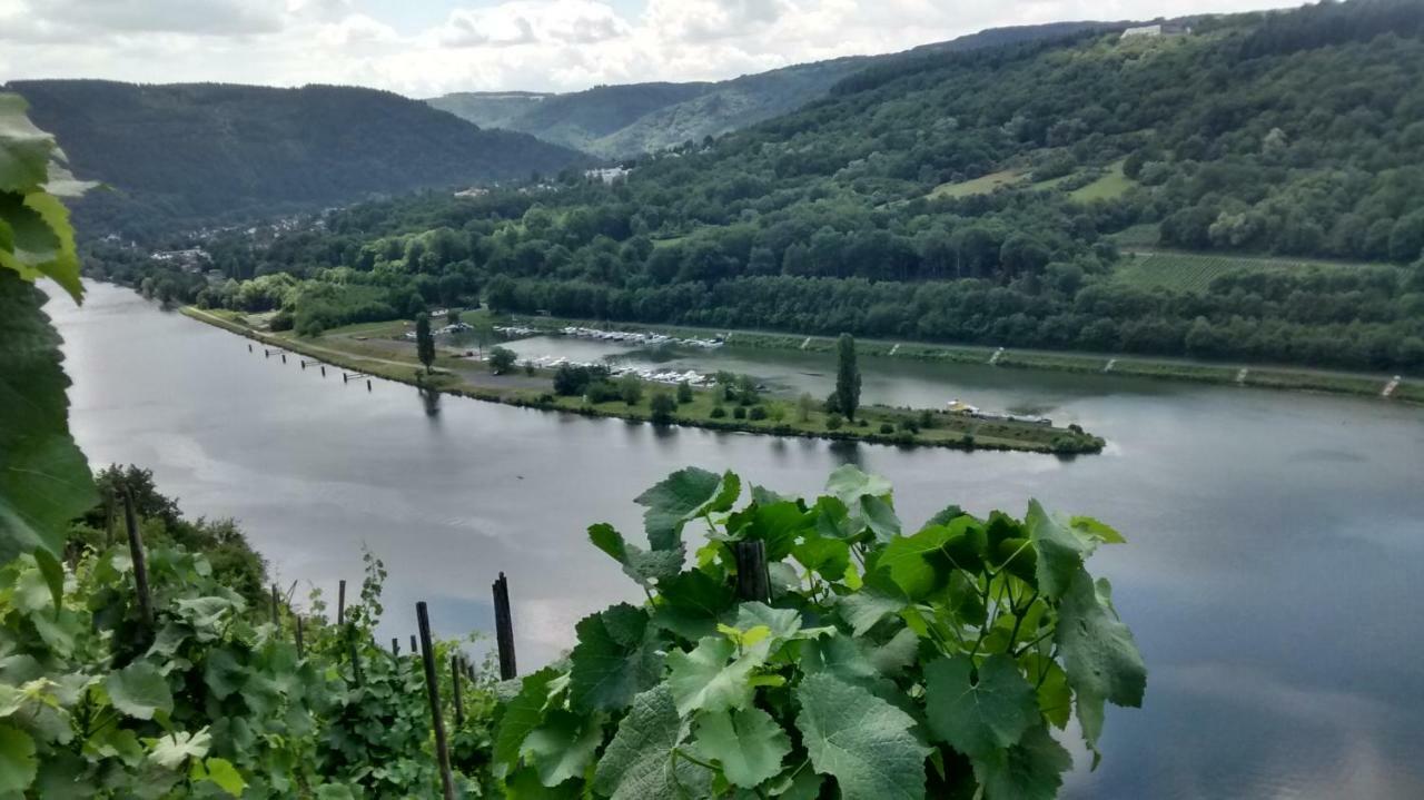 Weingut Sauer-Kettermann Villa เอนเคิร์ช ภายนอก รูปภาพ