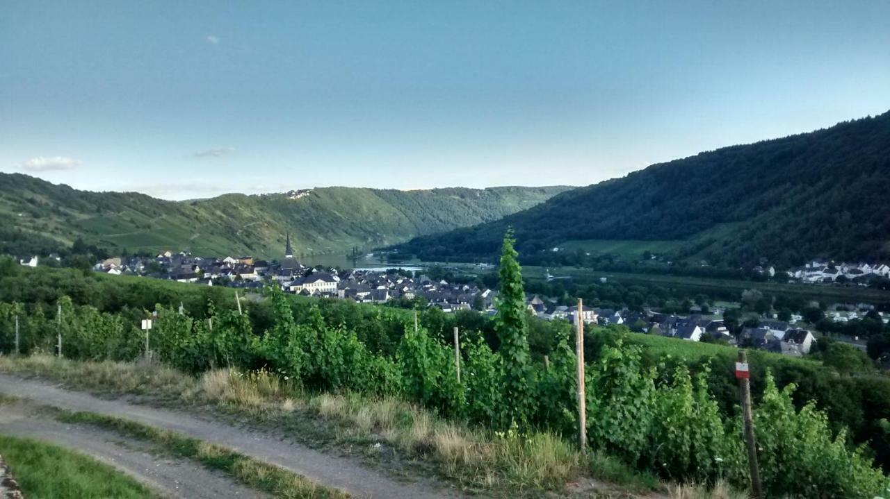 Weingut Sauer-Kettermann Villa เอนเคิร์ช ภายนอก รูปภาพ