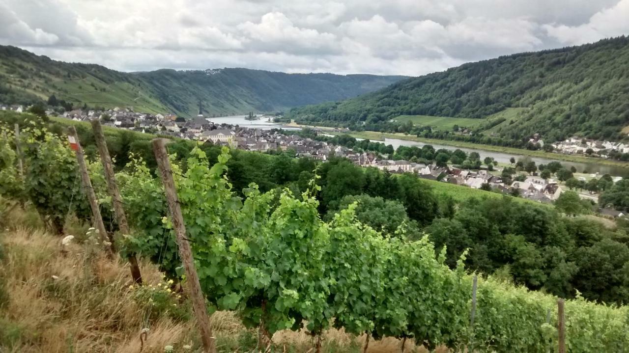 Weingut Sauer-Kettermann Villa เอนเคิร์ช ภายนอก รูปภาพ