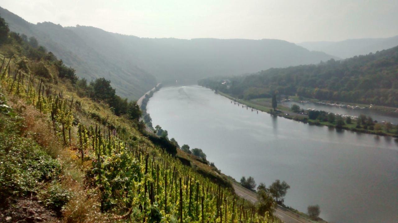 Weingut Sauer-Kettermann Villa เอนเคิร์ช ภายนอก รูปภาพ